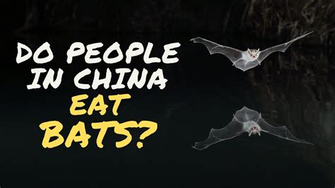 what bats are eaten in china